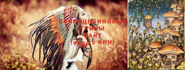 круглые Покачи