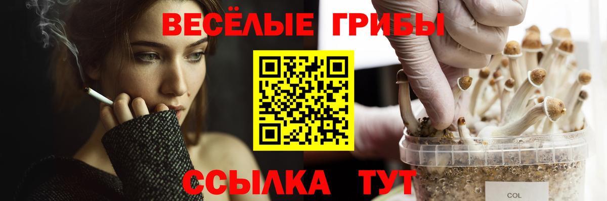 Галлюциногенные грибы мухоморы  Вход с VPN  Крымск  Псилоцибиновые грибы MAGIC MUSHROOMS 